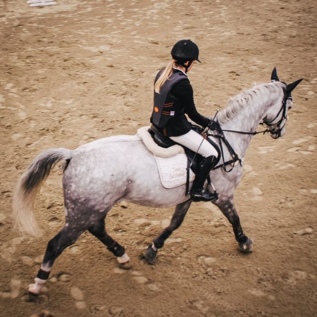 Übungen für einen besseren Takt Reitsportblog EquiCani